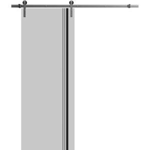Sliding Barn Door with 6.6ft Hardware | Planum 0011 Matte Grey | Rail Hangers Sturdy Silver Set | Modern Solid Panel Interior Doors