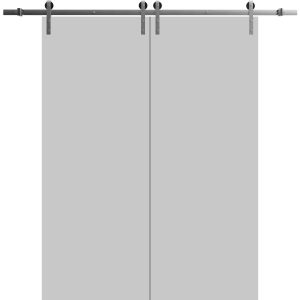 Sliding Double Barn Doors with Hardware | Planum 0010 Matte Grey | Silver 13FT Rail Hangers Sturdy Set | Modern Solid Panel Interior Hall Bedroom Bathroom Door