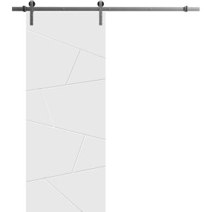 Sliding Barn Door with 6.6ft Hardware | Planum 0990 Painted White Matte | Rail Hangers Sturdy Silver Set | Modern Solid Panel Interior Doors-18" x 80"