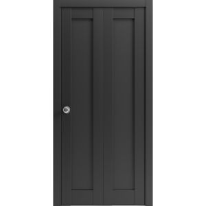 Sliding Closet Bi-fold Doors | Quadro 4111 Matte Black with Glass | Sturdy Tracks Moldings Trims Hardware Set | Wood Solid Bedroom Wardrobe Doors 