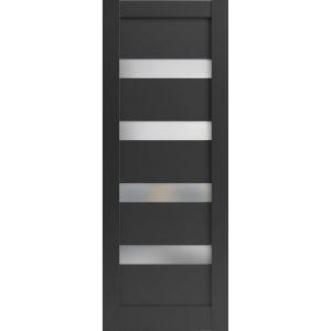 Lite Slab Barn Door Panel | Quadro 4113 Matte Black with Frosted Glass | Sturdy Finished Wooden Modern Doors | Pocket Closet Sliding