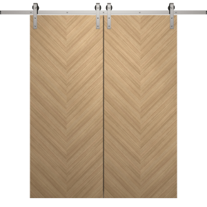 Modern Double Barn Door 36 x 80 inches | Ego 5005 Natural Oak | 13FT Silver Rail Track Set | Solid Panel Interior Doors