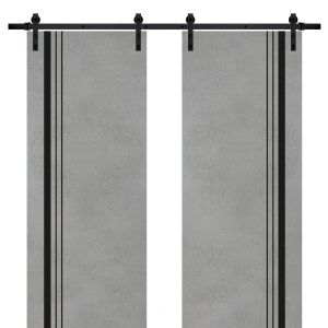 Sliding Double Barn Doors with Hardware | Planum 0011 Concrete | 13FT Rail Hangers Sturdy Set | Modern Solid Panel Interior Hall Bedroom Bathroom Door