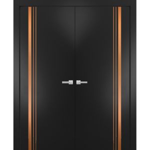 Solid French Double Doors | Planum 1010 Matte Black | Wood Solid Panel Frame Trims | Closet Bedroom