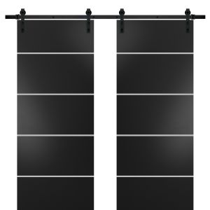Sturdy Double Barn Door with Hardware | Planum 0210 Matte Black | 13FT Rail Hangers Heavy Set | Modern Solid Panel Interior Doors