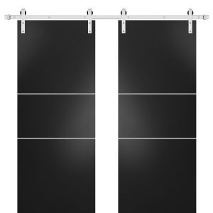 Sturdy Double Barn Door with Hardware | Planum 0110 Matte Black | Silver 13FT Rail Hangers Heavy Set | Modern Solid Panel Interior Doors