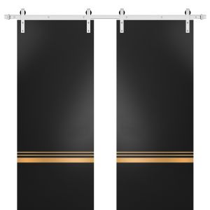 Sturdy Double Barn Door with Hardware | Planum 2010 Matte Black | Silver 13FT Rail Hangers Heavy Set | Modern Solid Panel Interior Doors