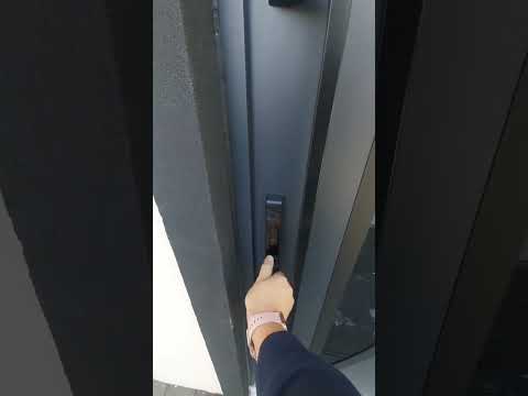 Modern Black Steel Door with Fingerprint Lock | Door Deux 6501 + FingerPrint 055 - UnitedPorte!