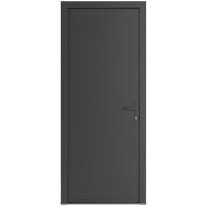 Front Exterior Prehung Metal-Plastic Door | Manux 8111 Antracite Grey | Office Commercial and Residential Doors Entrance Patio Garage W36" x H80" Left hand Inswing