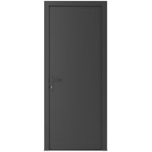 Front Exterior Prehung Metal-Plastic Door | Manux 8111 Antracite Grey | Office Commercial and Residential Doors Entrance Patio Garage W36" x H80" Right hand Inswing